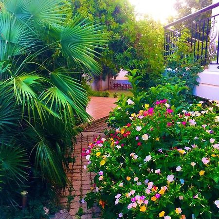 Madison Hall,Near The Athens Airport สปาตา ภายนอก รูปภาพ
